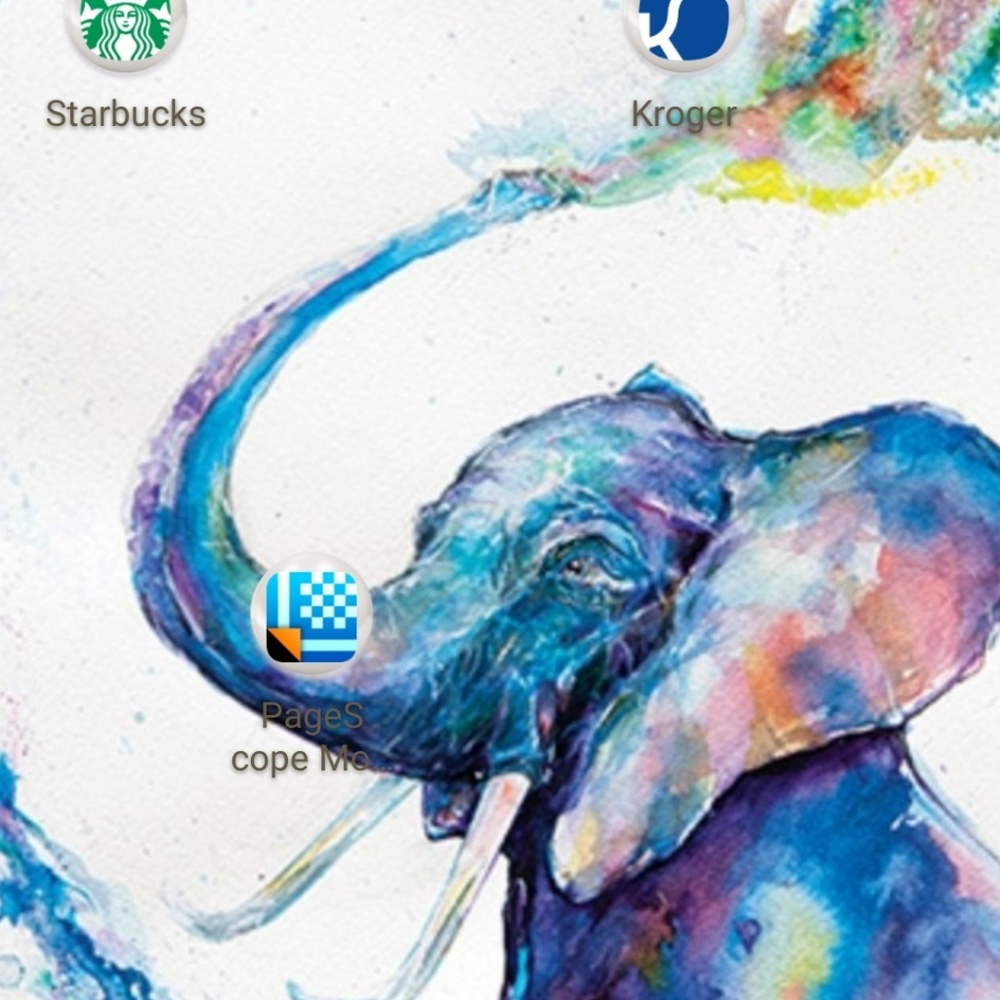 Meet your Posher, Shamein